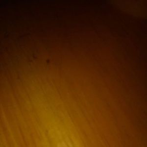 Meet your Posher, Robert